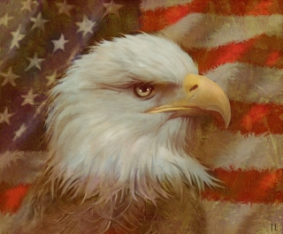 Americas Pride Eagle.jpg