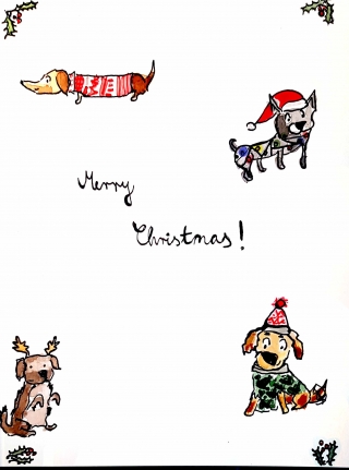 dog xmas.jpg