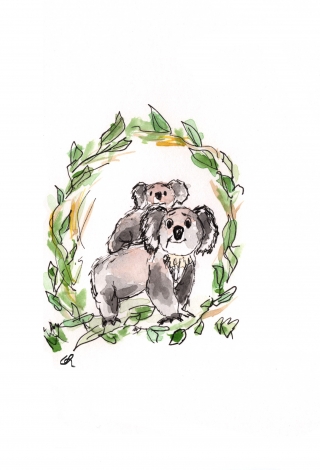 koalas.jpg