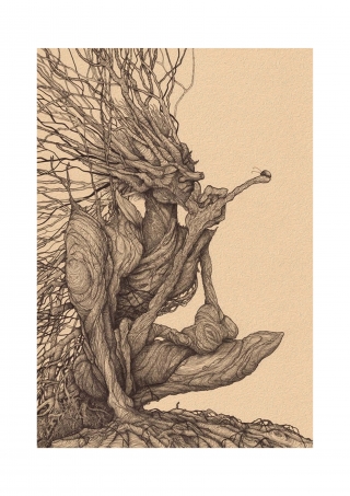 Portfolio Quercus and Bug.jpg