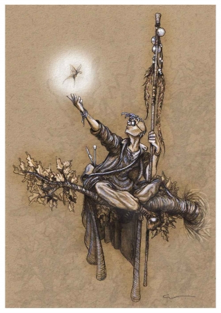 Portfolio-Shaman.jpg
