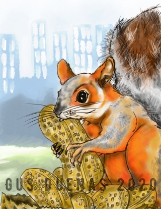 squirrelmania2