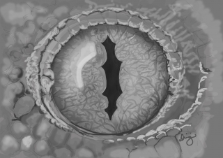 Gecko's eye - Study painted in Photoshop