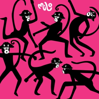 monkeys-wild-dance.jpg