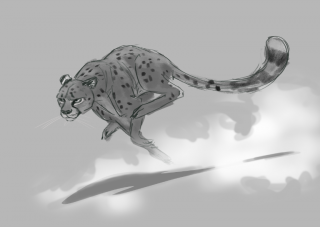 cheetah_run_sketch