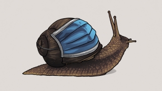 How long will it really last?.jpg