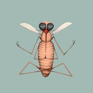 very zen mosquito doing yoga