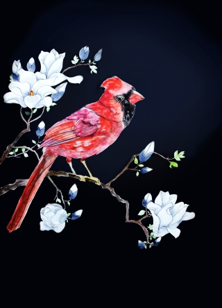 Cardinal Bird.jpg