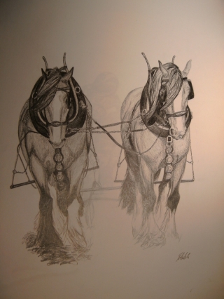 Plough horses.jpg