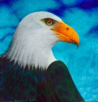 bald_eagle_by_john_baroque_ddg4b28-250t.jpg