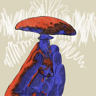 MUSHROOM LOW RES.jpg