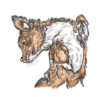 WhatsApp Image 2021-05-13 at 09.41.23 (1).jpeg