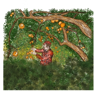 WhatsApp Image 2021-05-12 at 12.09.52 (1).jpeg