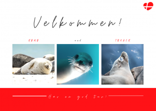 postcard front_romotonder.png