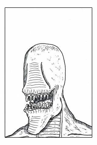 Gigi ku sudah bersih Dok.jpg