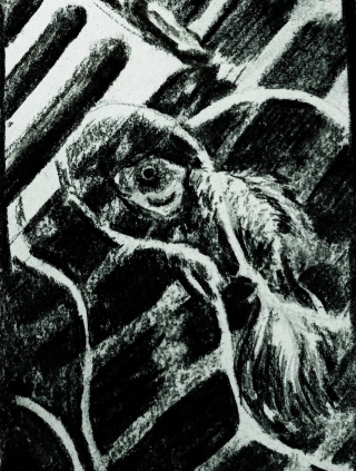 WhatsApp Image 2021-07-09 at 12.10.23 (1).jpeg