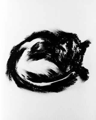 WhatsApp Image 2021-07-09 at 12.09.08.jpeg