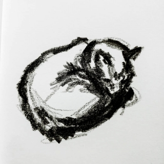 WhatsApp Image 2021-07-09 at 11.58.52.jpeg