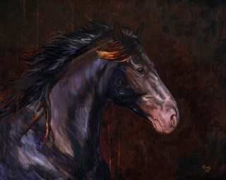 Stallion_1200.jpg