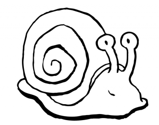 Snail.jpg