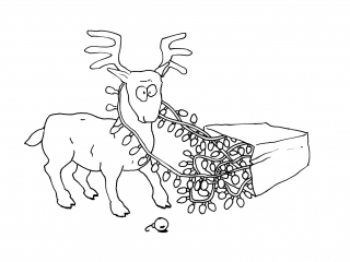 Reindeer2.jpg