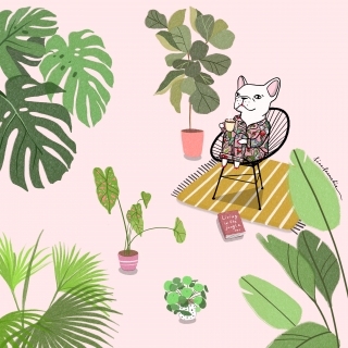 Crazy plant lady.jpg