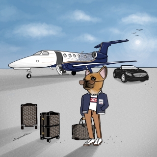 Jet setter.jpg