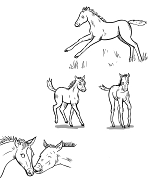 Horses.jpg