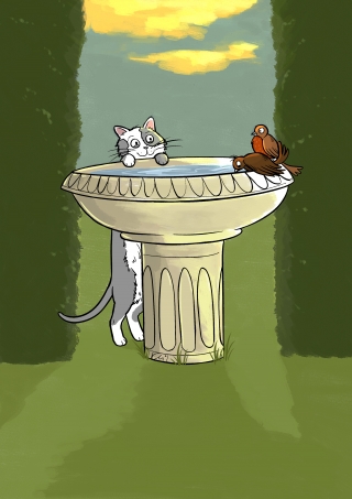 Birdbath