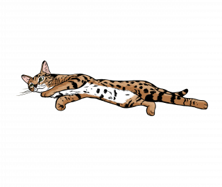 Savannah Lying Down.png