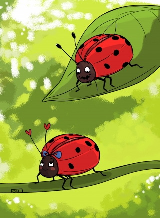 LoveBugCardColour(notext).jpg