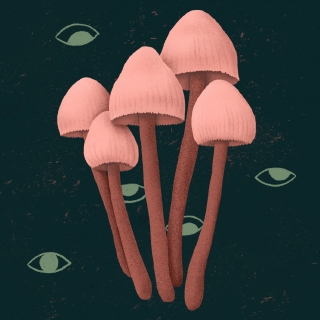 Mushroom pink