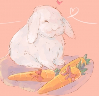 Bunny.jpg