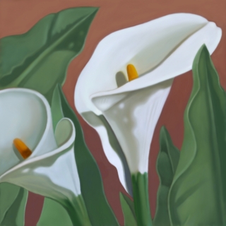 Calla-lilies_net.jpg