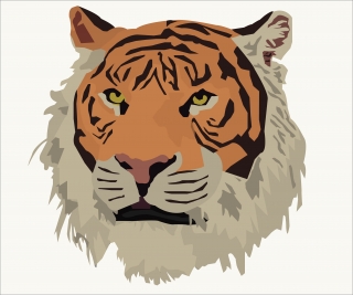 1Tiger