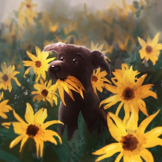 dog in yellow flowers.jpg