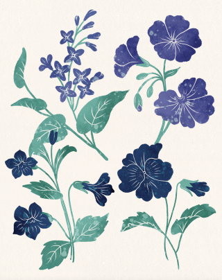 Blue Flowers