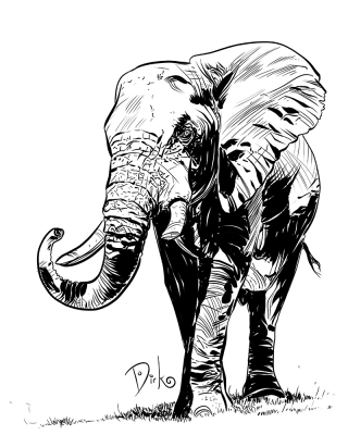 Elephant4Web