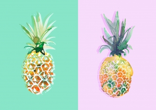 Pineapples on Green and Pink Background