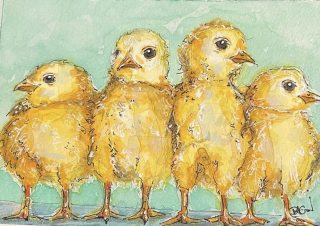 Chicks