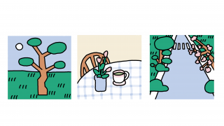 portofoliu computer-10.png