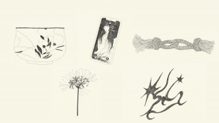 portofoliu computer-07.png