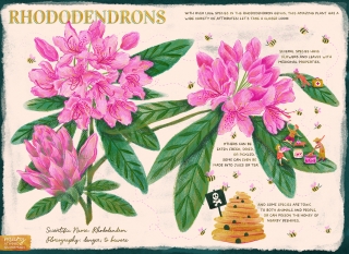 RHODODENDRON-BOOKSPREAD-LOWRES.jpg