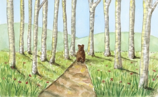 A bear walking in the woods - Amelina Jones Illustrations