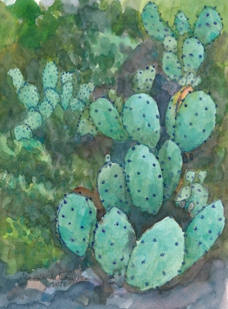 Cacti  copy.jpg