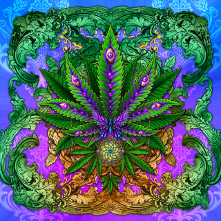 Cannabis or Marihuana leaves with dreamcatcher and butterfly.png