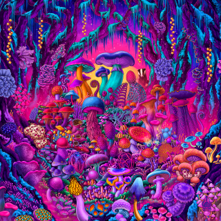 Colorful Forest of Magic Mushrooms.png