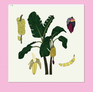 Captura de pantalla 2023-11-22 a las 10.29.48.png