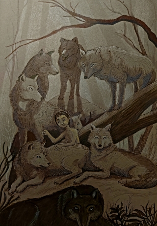 Mowgli is picking thorns from the fur of his family of wolves.jpg