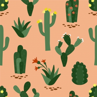 Vector seamless pattern with different cacti. Desert plants on sand background. Texture with green cactus. Blooming succulent.